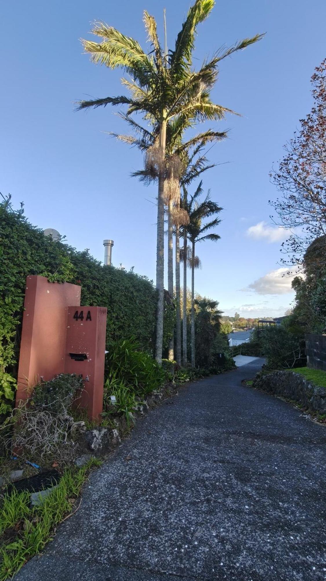 Villa Hidden Oasis In Epsom With Panoramic View Auckland Exterior foto